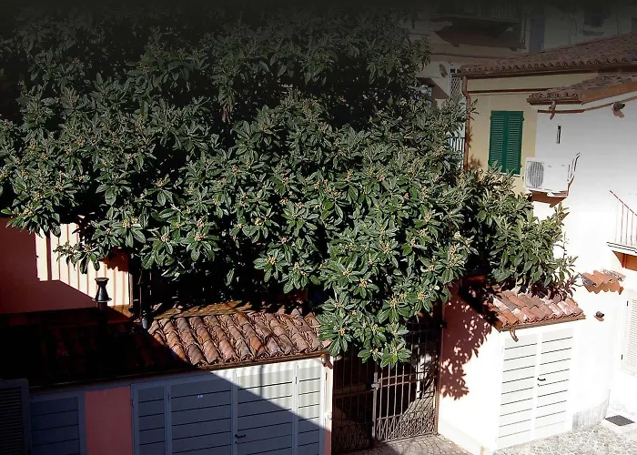 Apartmán Residenza Il Nespolo - Estella Collection *